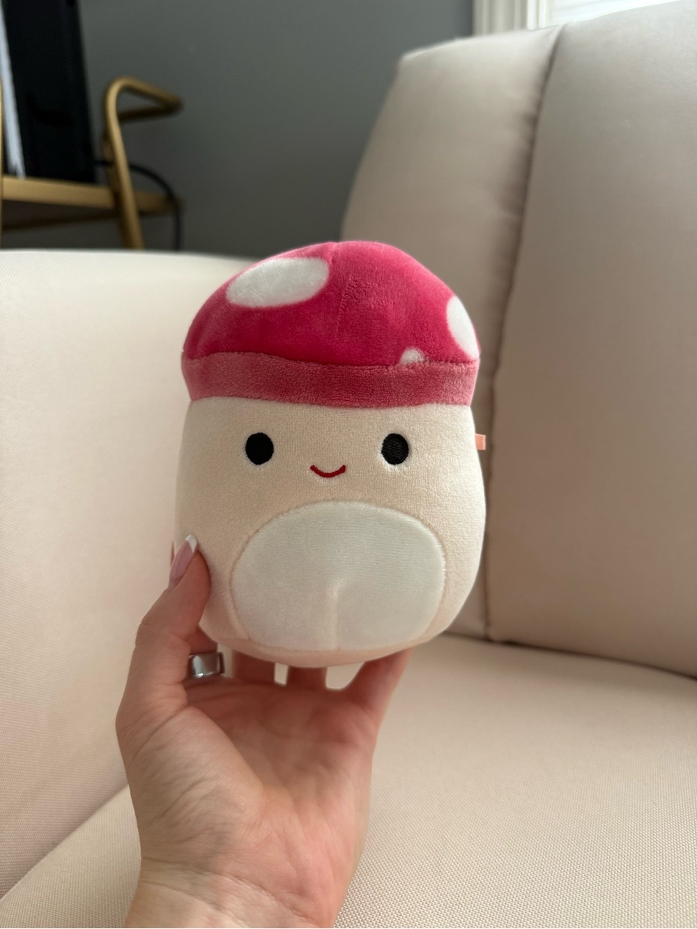5 inch Malcolm Squishmallow Collectors Item